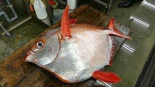Японская Разделка - Гигантская Рыба Опах Япония Морепродукты.