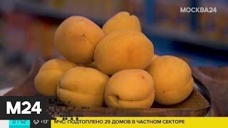 Эксперты рассказали, как выбрать сладкие абрикосы - Москва 24