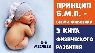 БМП: Подвижность малыша ⇒ Развитие Мозга | Время животика