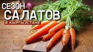 Как вырастить в Кыргызстане вкусную морковь и заработать на салатах?