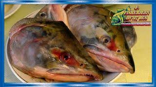 ГОЛОВЫ ЛОСОСЯ ПОД МАРИНАДОМ, рецепты из рыбы от fishermandv27rus
