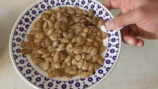 Семена тыквы - как собрать и хранить в домашних условиях
