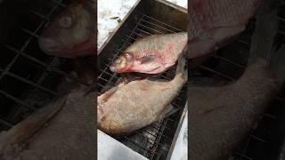Рецепт приготовления горячее копчение рыба и свинина к празднику.
