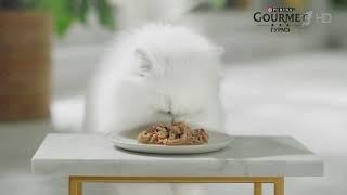 Purina Gourmet Натуральные рецепты - Реклама