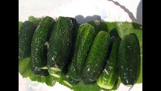 Огурцы малосольные самый простой рецепт Cucumber Salad Easy Fast Recipe. Малосольные огурцы в пакете