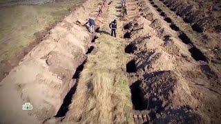 На Украине вырыли сотни могил для жертв коронавируса