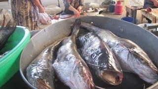 В Таджикистане подорожала рыба