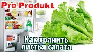Как хранить листья салата в холодильнике