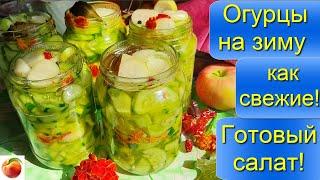 Огурцы на зиму с больших Как свежие  Готовый вкусный салат Мамин рецепт Cucumbers for winter canning