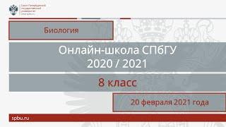 Онлайн-школа СПбГУ 2020/2021. 8 класс. Биология. 20 февраля 2021