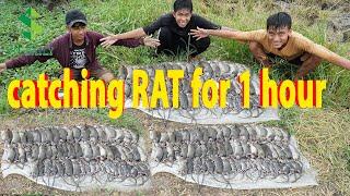 Amazing Rat Catching - This Guy's RATS Catching Skills Are Unbelievable