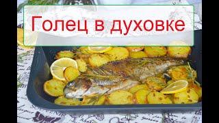 Голец запеченный в духовке с лимоном и картофелем/ Как вкусно приготовить гольца в духовке