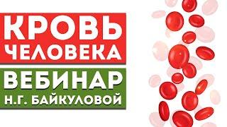 Вебинар Байкуловой Н.Г. «Кровь человека»